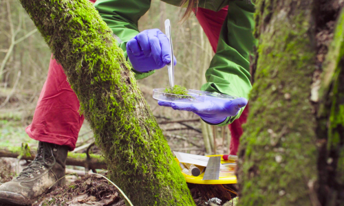 Navigating the challenges of measuring biodiversity