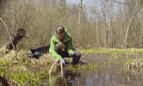 Practical field methods for biodiversity measurement