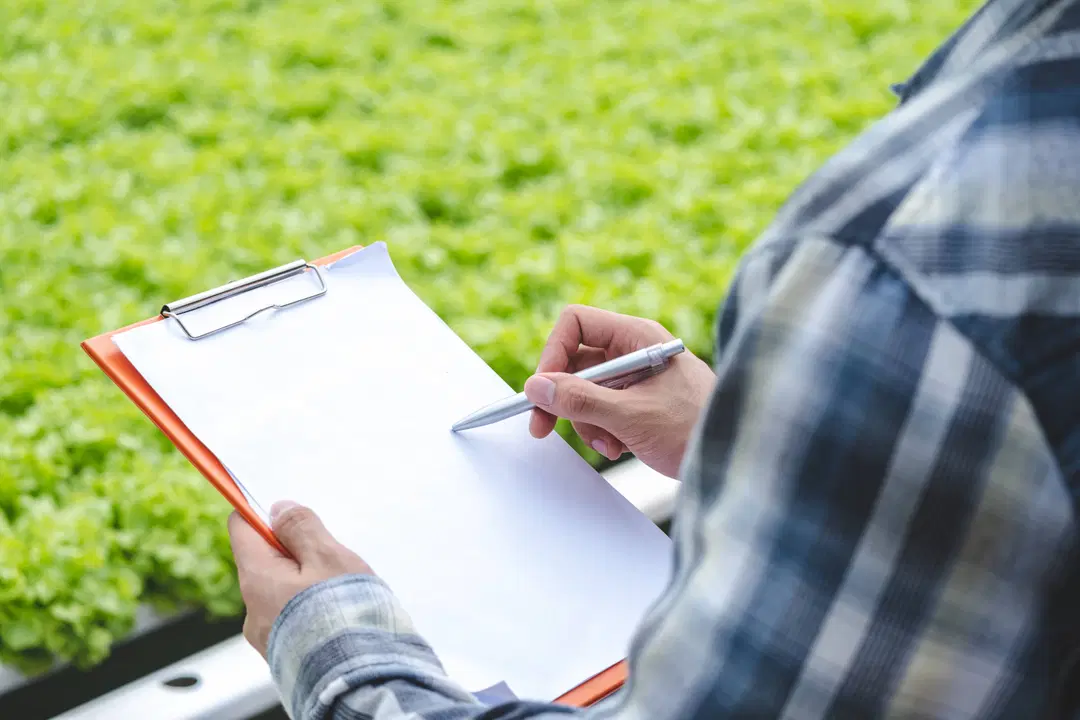 Latest BNG updates – What changed from BNG 4.0 to BNG Statutory Metric