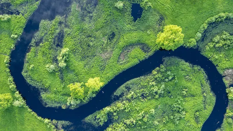 Complex, vast, and fast-changing habitats: How AI can help