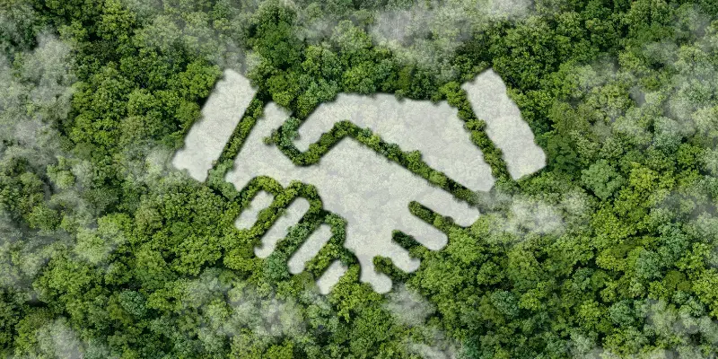The importance of integrating collaborative AI technology with ecological expertise to meet biodiversity net gain targets