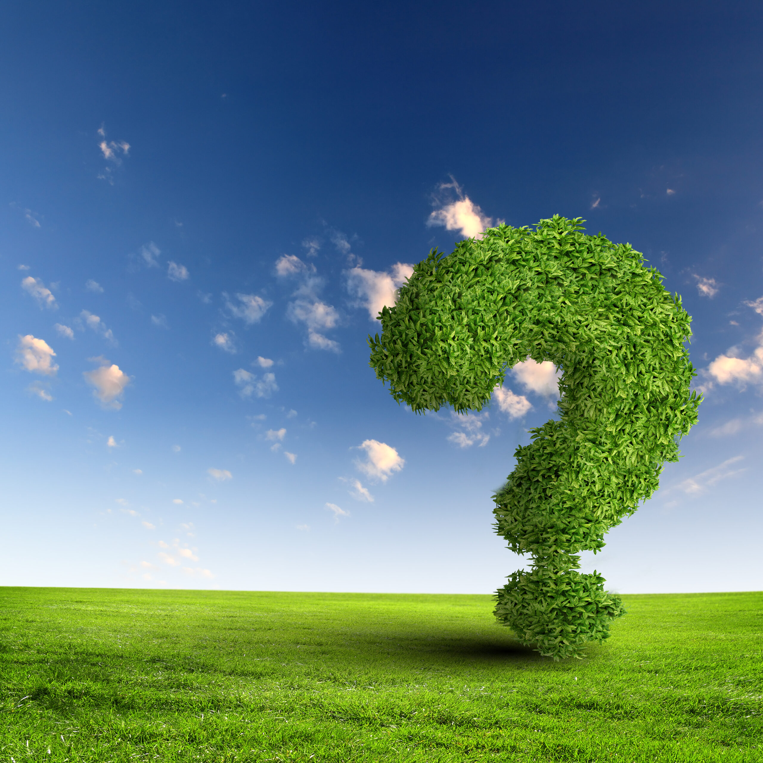 You asked, we answered: 8 questions about navigating natural capital